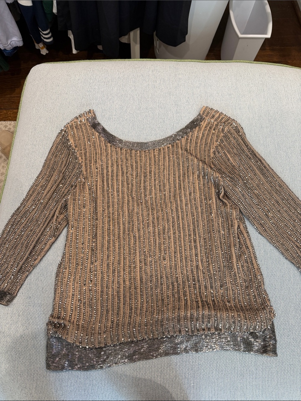 Parker Beaded Taupe and Silver Evening Top